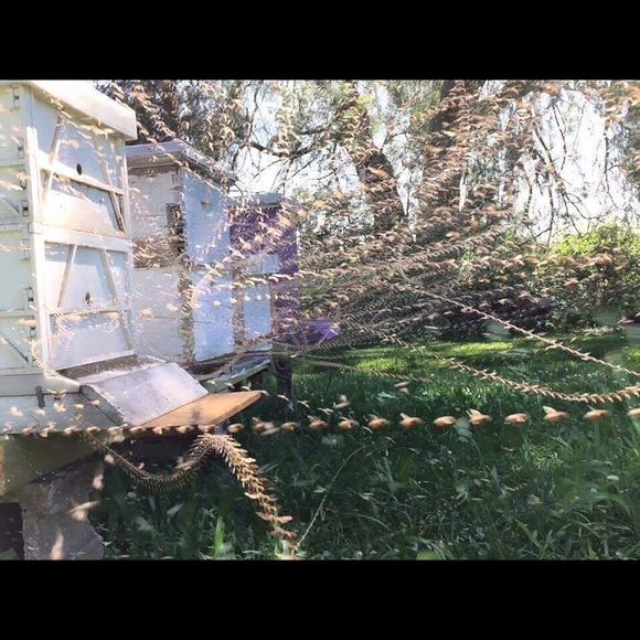 Meet your Posher, Galway Girl☘️POSH Ambassador☘️ - Picture 6 of 6